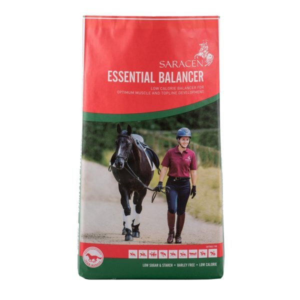 Saracens Essential Balancer
