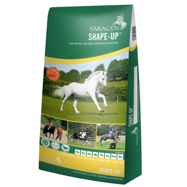 Saracens Shape Up