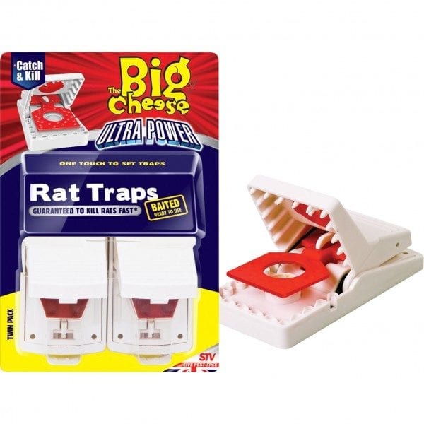 The Big Cheese - Rat