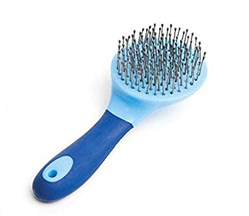Mane And Tail Blue Brush