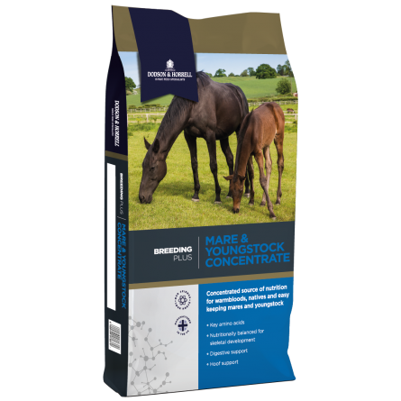 Dodson & Horrell Mare and Youngstock Concentrate