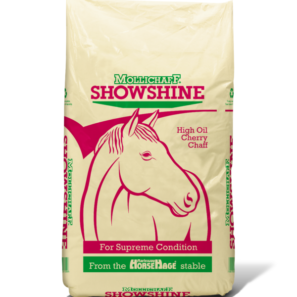 Mollichaff Showshine (Cherry)