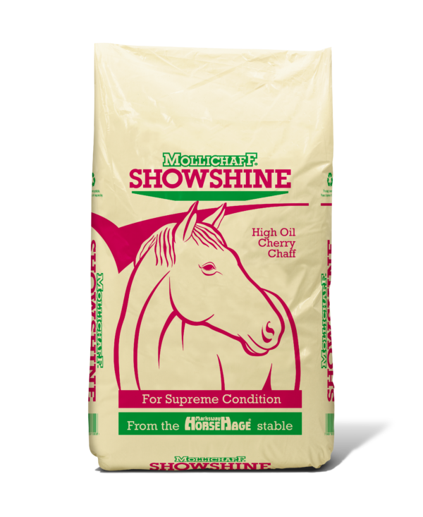 Mollichaff Showshine (Cherry)