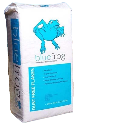 Blue Frog Shavings