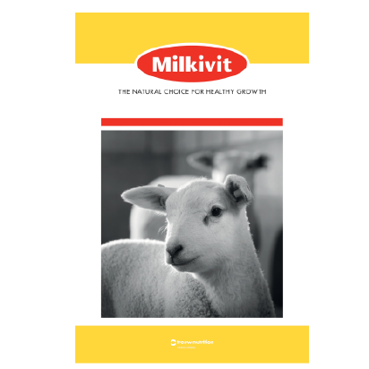 Lamb Milk Replacer 10kg