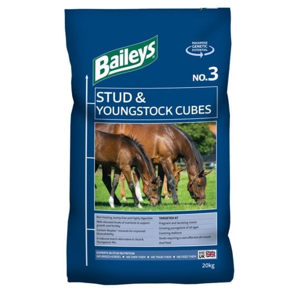 Baileys Stud & Youndstock Cubes No3