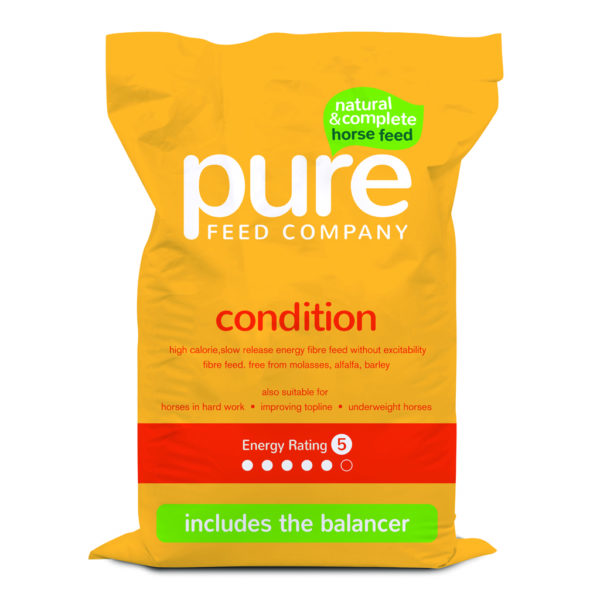 Pure Condition