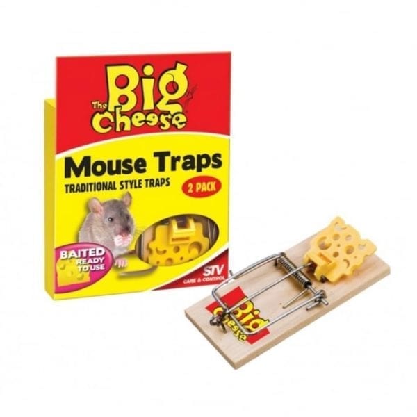 The Big Cheese - Mouse