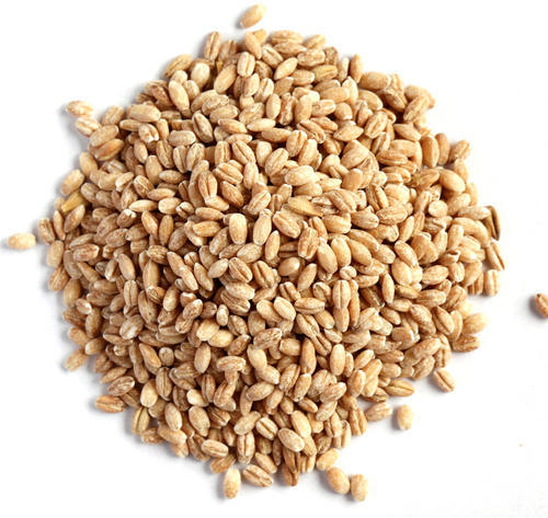 Whole Barley