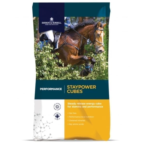Dodson & Horrell Staypower Cubes