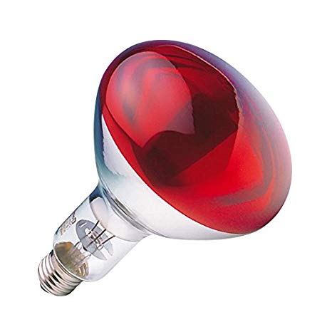 Infra Red Bulb Ruby 250w