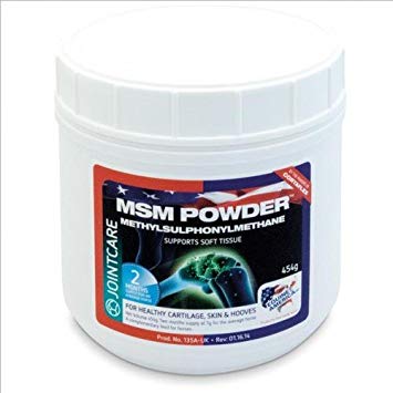 Equine America MSM Powder 500g