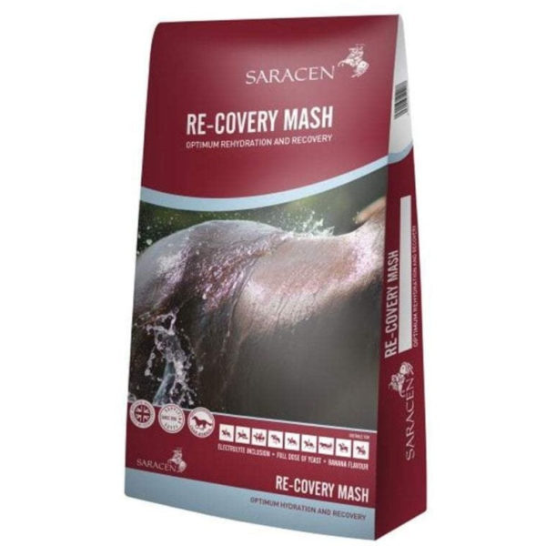 Saracens Recovery Mash