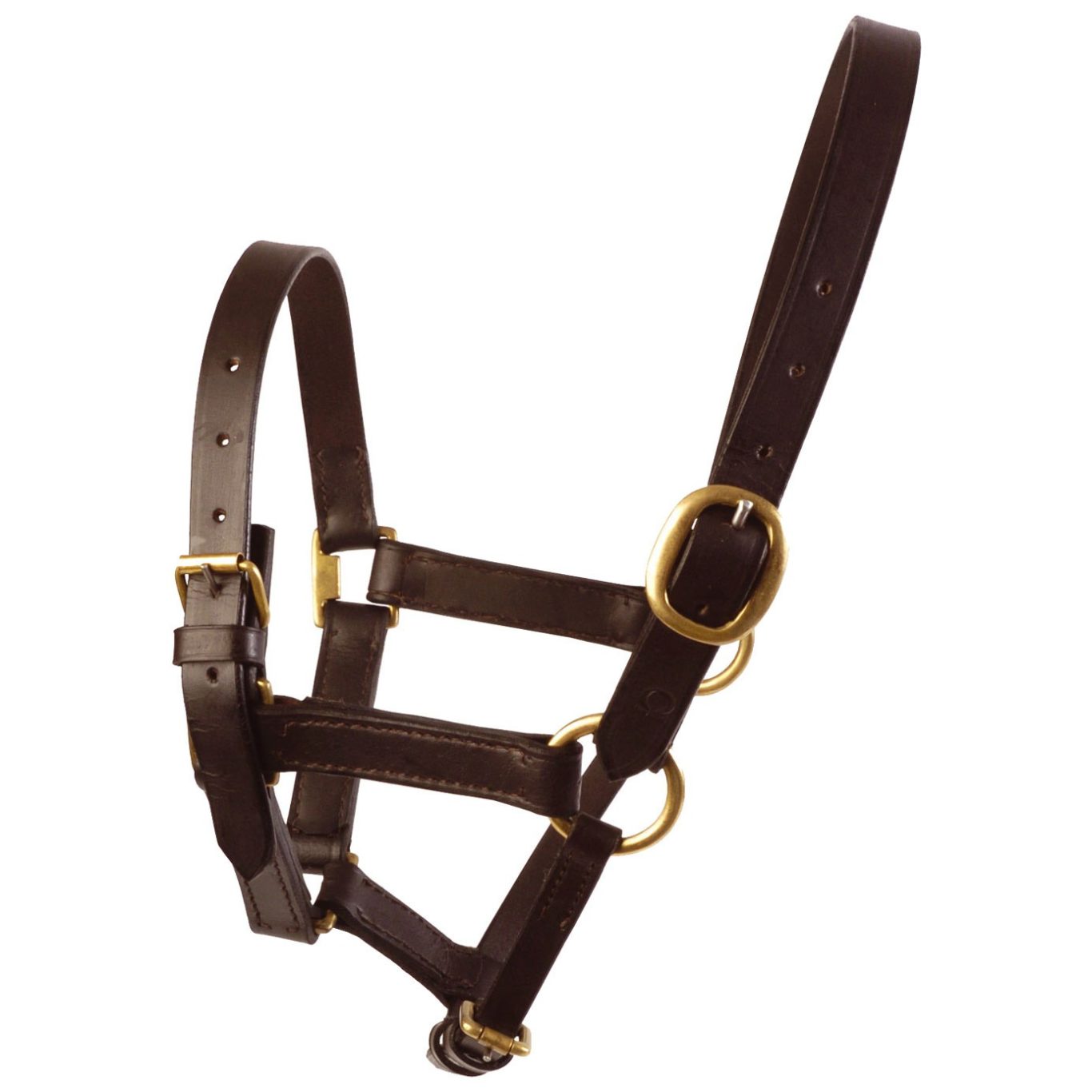 Leather Foal Headcollar • The Feed Shed
