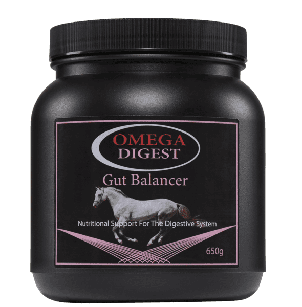 Omega Digest Gut Balancer 650g