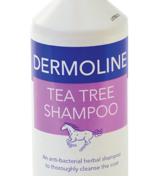 Dermoline Tea Tree Shampoo