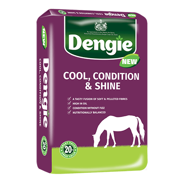 Dengie Cool Condition & Shine