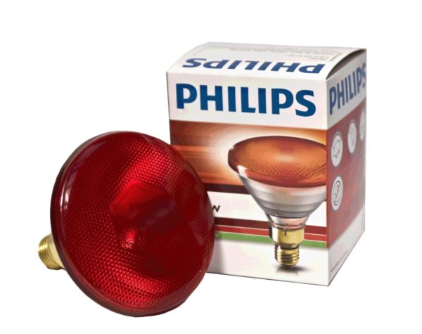 Infra-Red Bulb 175w