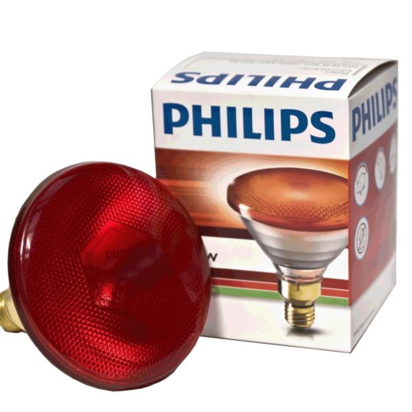Infra-Red Bulb 175w