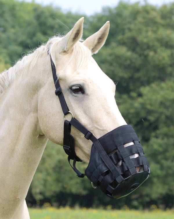 Shires Grazing Muzzle Full Black