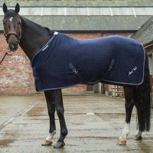 Mark Todd Coolex Cooler Rug 5'6" only