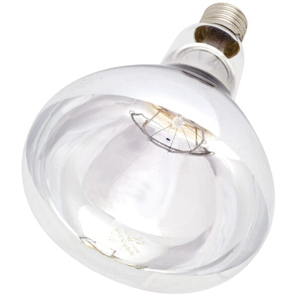 Infra - Red Bulb Clear 250w