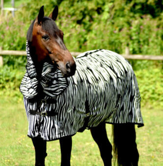 JHL Essential Zebra Print Combo Fly Rug