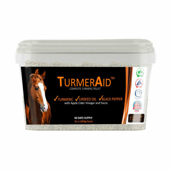 Golden Paste TurmerAid 2kg