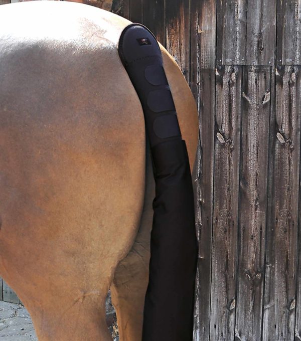 Premier Equine Black Padded Tail Guard With Bag