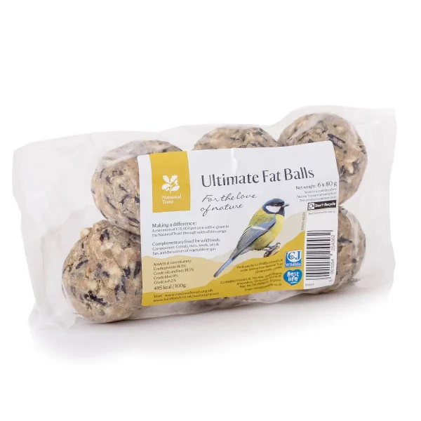 Fat Balls 6 Pack