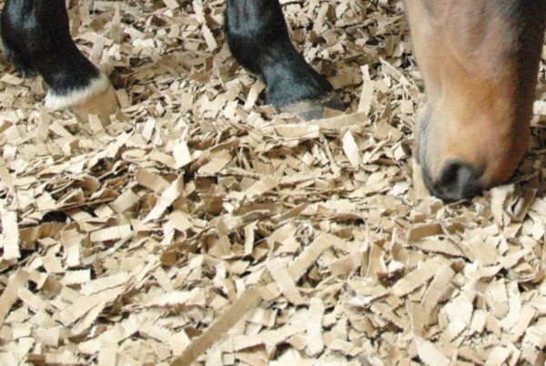 Eco-Bed Cardboard Bedding