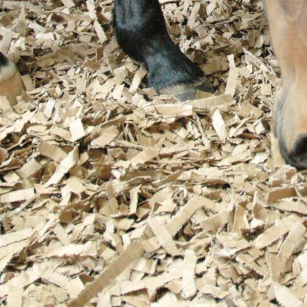 Eco-Bed Cardboard Bedding