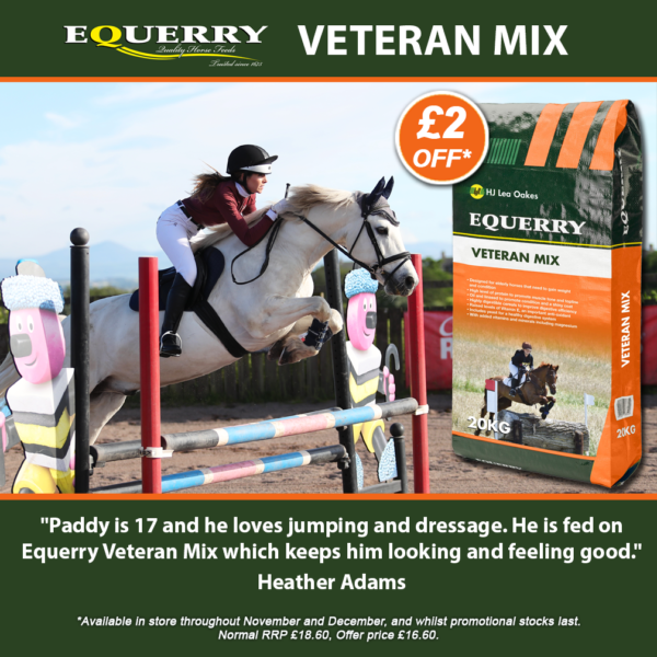 Equerry Veteran Mix