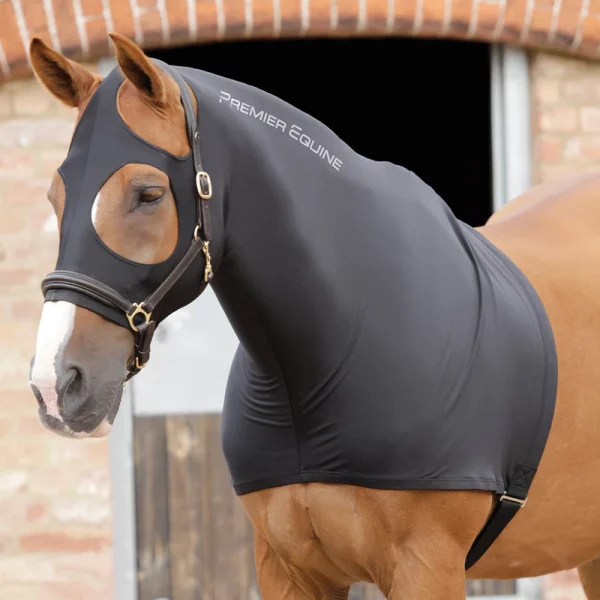 Premier Equine Stretch Lycra Hood
