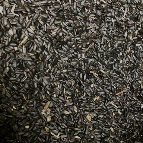 Black Sunflower Hearts 20kg