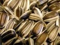J&J Striped Sunflower Seed 10kg
