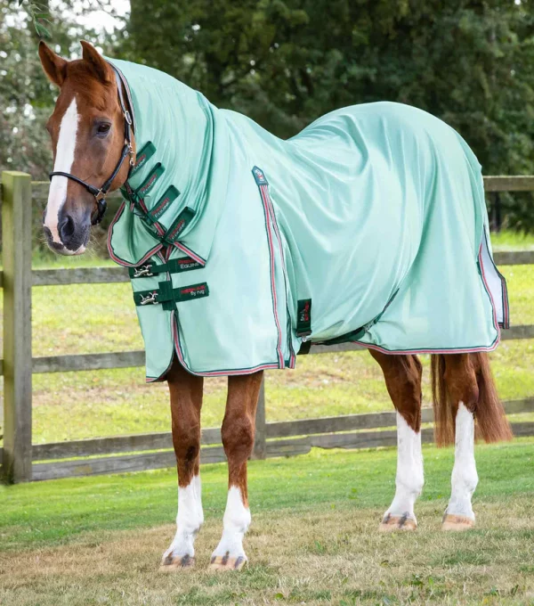 Premier Equine Combo Mesh Air Fly Rug with Surcingles - Image 6