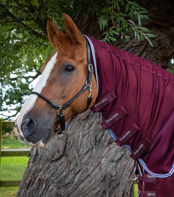 Premier Equine Combo Mesh Air Fly Rug with Surcingles - Image 12