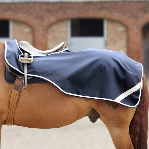 Horse Exercise Sheet