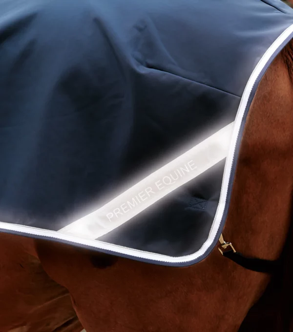Horse Exercise Sheet - Image 4