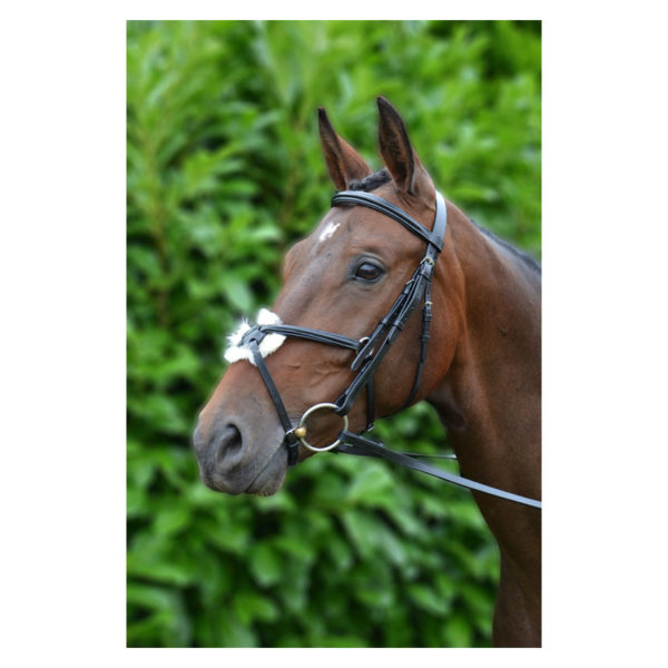 Hy Equestrian Mexican Bridle with Rubber Grip Reins