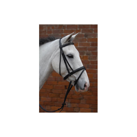 Hy Equestrian Padded Flash Bridle with Rubber Grip Reins
