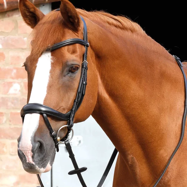 Premier Equine Rizzo Anatomic Snaffle Bridle with Flash