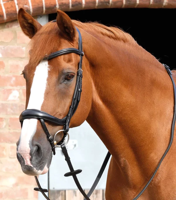 Premier Equine Rizzo Anatomic Snaffle Bridle with Flash