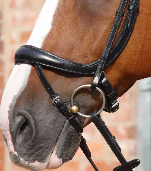 Premier Equine Rizzo Anatomic Snaffle Bridle with Flash - Image 2