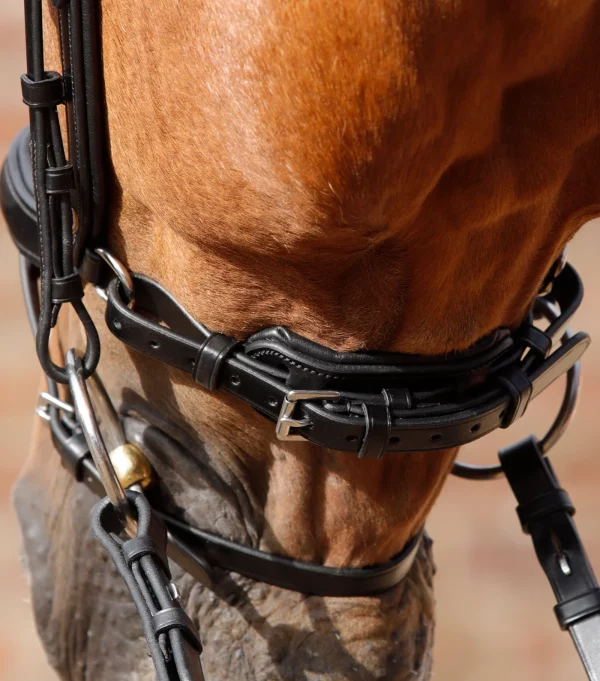 Premier Equine Rizzo Anatomic Snaffle Bridle with Flash - Image 3