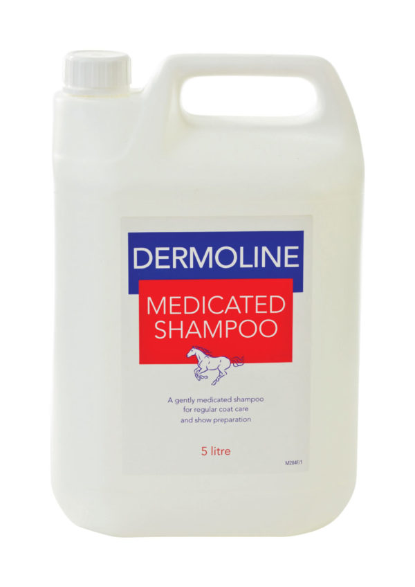 Dermoline Medicated Shampoo - Image 2