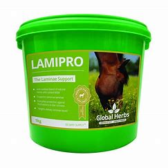 Global Herbs Lamipro 1kg